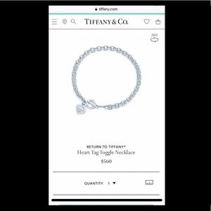Tiffany & Co Necklace